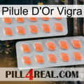 Vigra Gold Pill 27